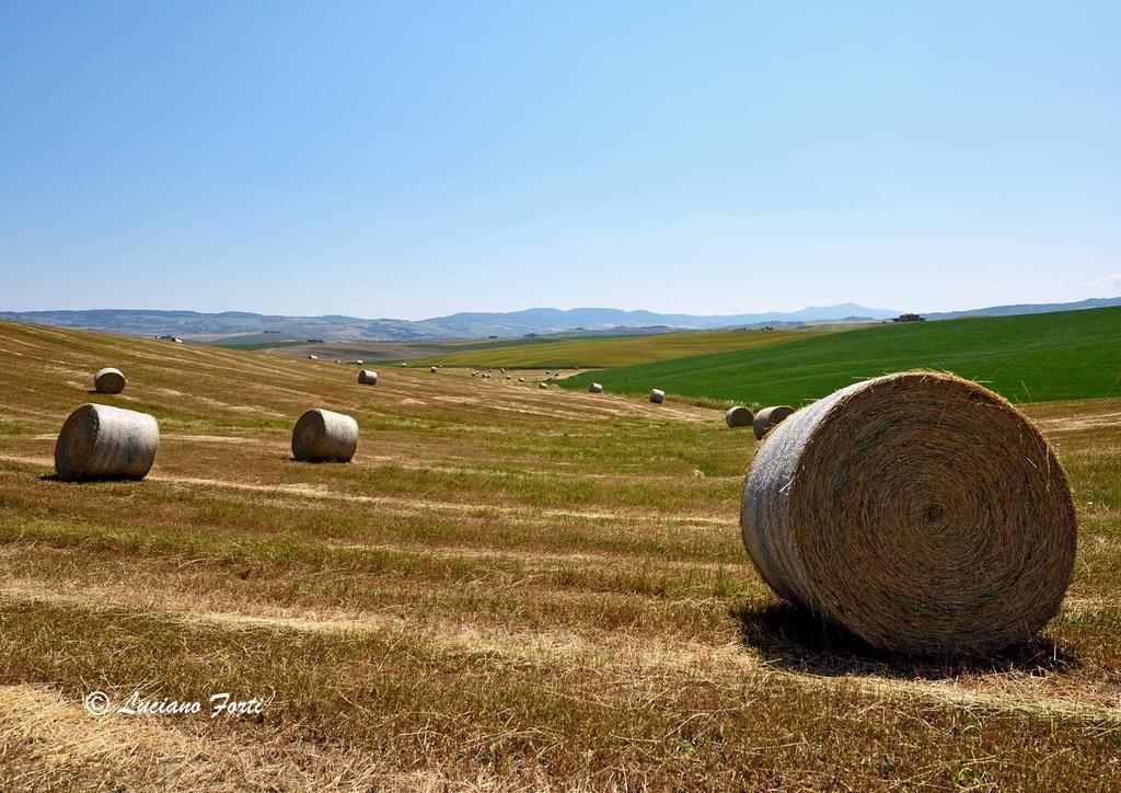 Antica Locanda Pienza Exteriér fotografie